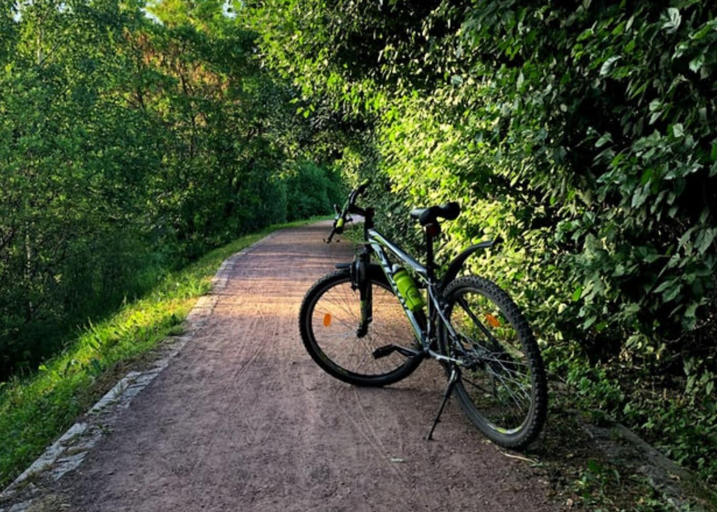 A mountain bike with green water bottle parked beside a trail