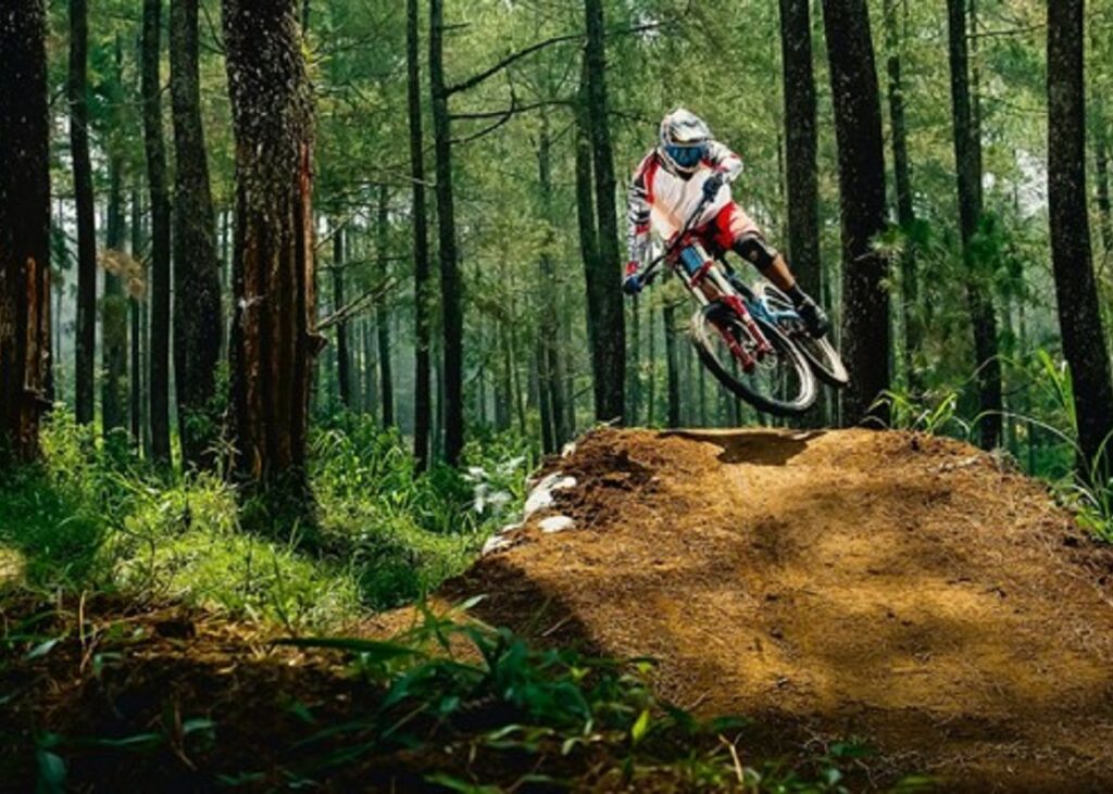 a person riding a mountain bike in the forest