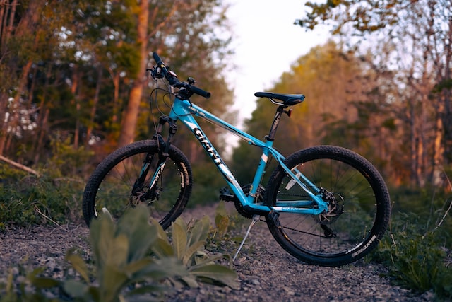 hybrid bike in woods
