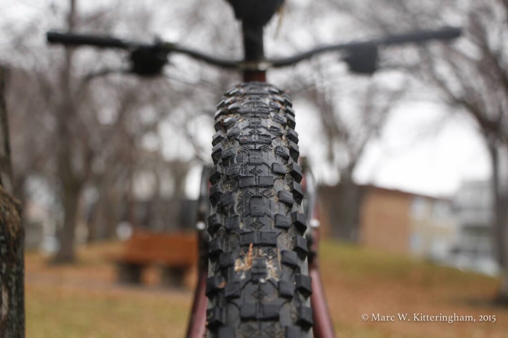 mountain bike tire