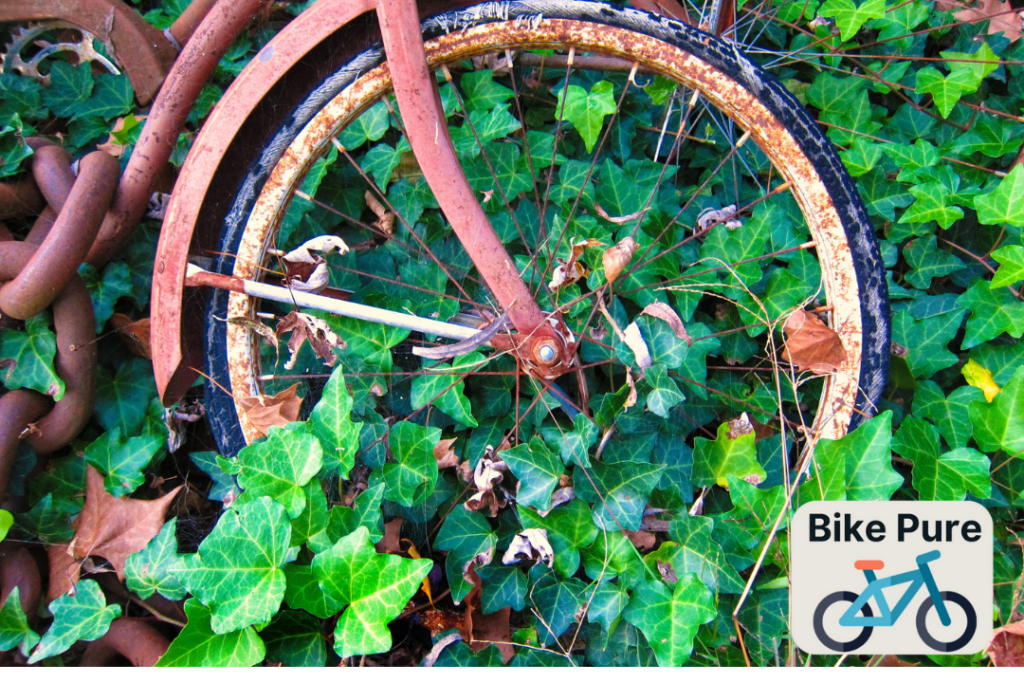 Rusted bicycle tire surrounded by wild plants