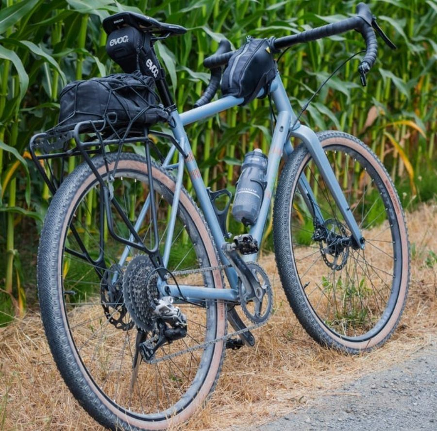 A gray and black bicycle with bags parked beside plants